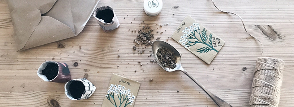 Yarrow a magical herb and gardener’s friend.